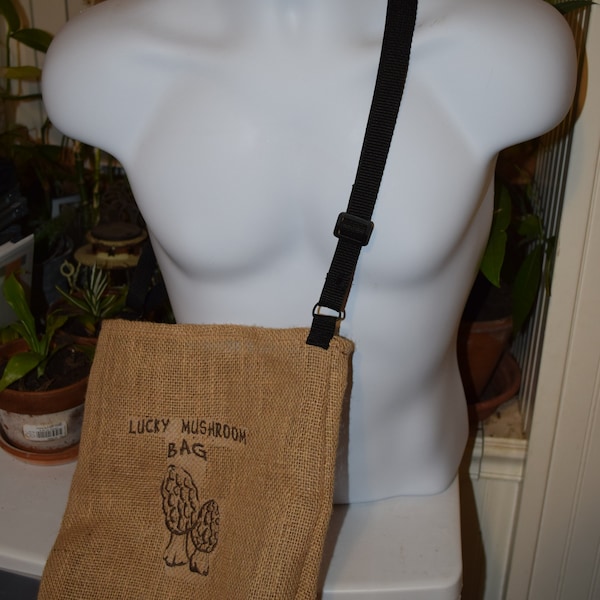 Morel Mushroom Kit Etsy