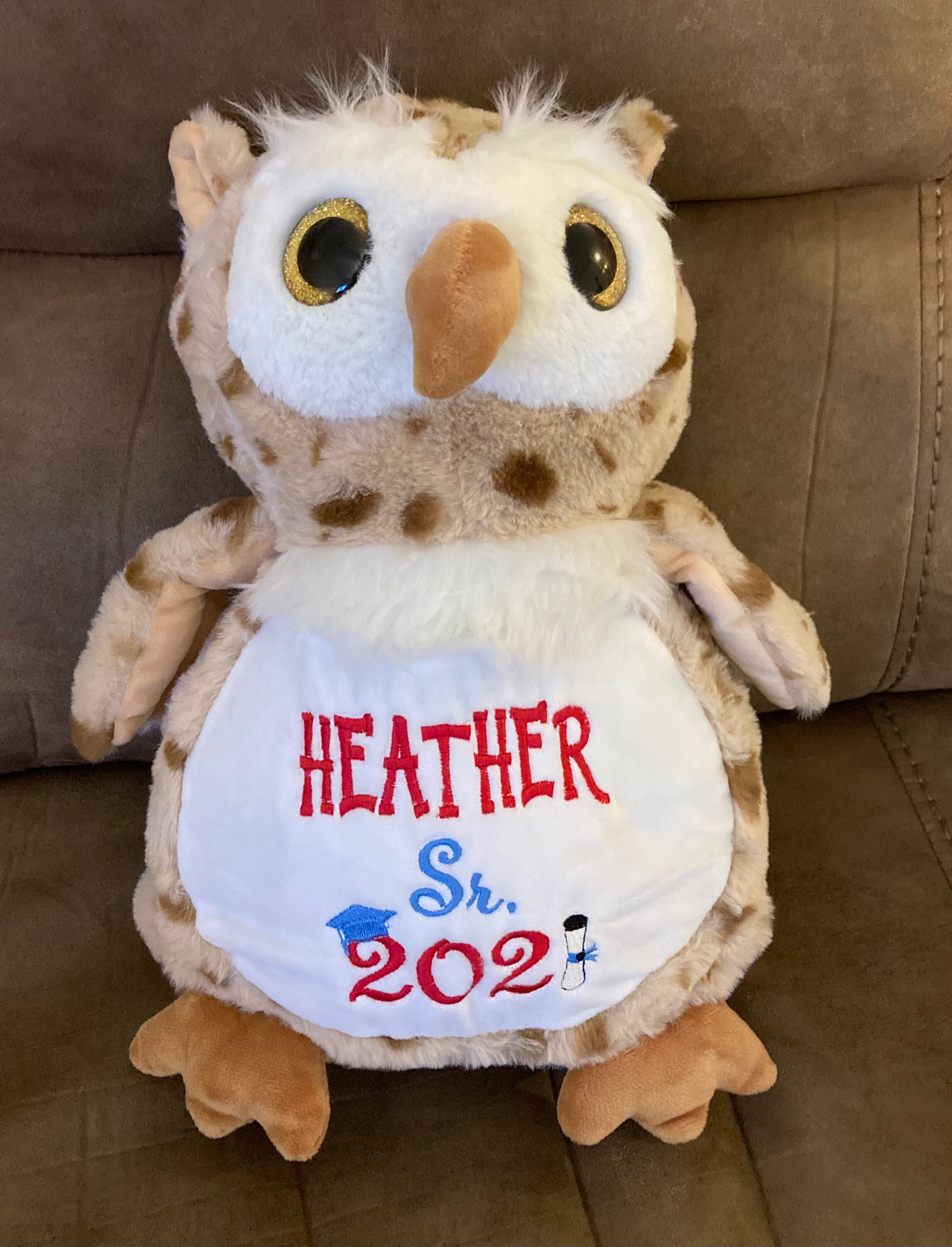 Graduation owl