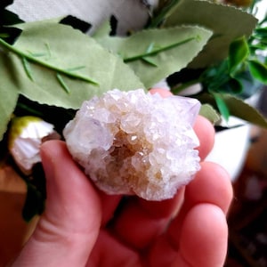 Ametrine spirit quartz, fairy quartz, spirit quartz, cactus quartz, quartz cluster, crystal cluster