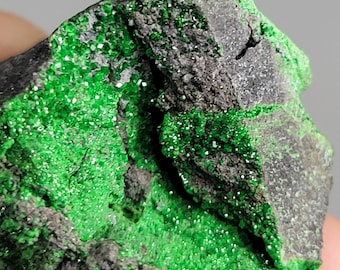 1.5&quot; Gem Green Uvarovite Garnet from Russia 18.14g