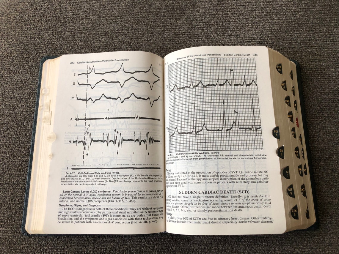 The Merck Manual of Diagnosis and Therapy Thirteenth Edition Etsy