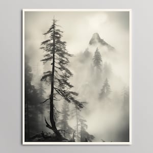 Può includere: Una fotografia in bianco e nero di un pino alto e sottile in una foresta nebbiosa. L'albero è in primo piano e lo sfondo è una catena montuosa nebbiosa.