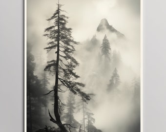Può includere: Una fotografia in bianco e nero di un pino alto e sottile in una foresta nebbiosa. L'albero è in primo piano e lo sfondo è una catena montuosa nebbiosa.