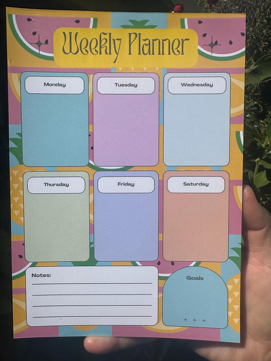 Watermelon Pineapple Weekly Planner: Fun Design, 50 Sheets (6x8.5 ...
