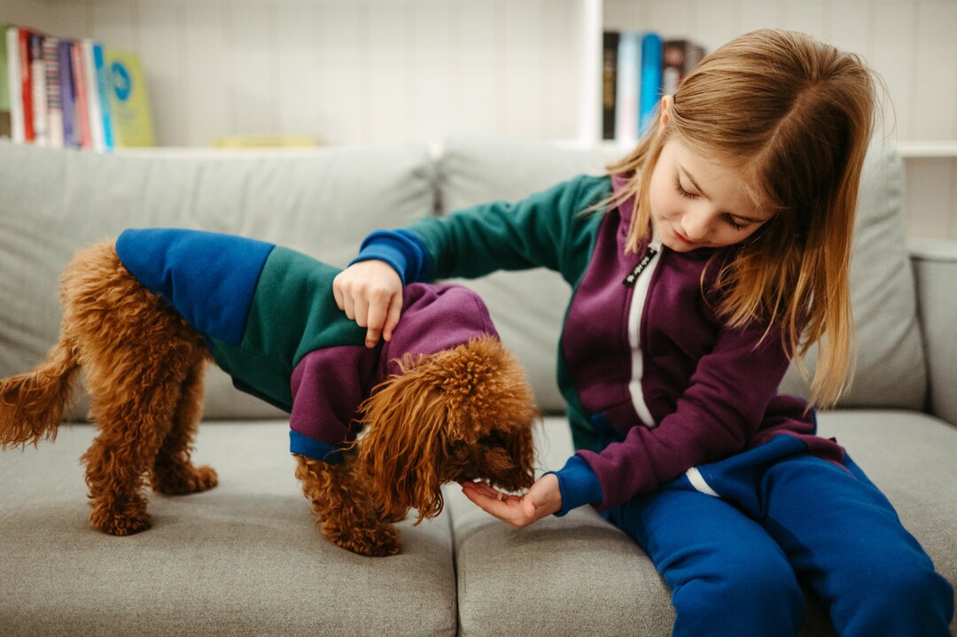 Tricolor GROOVE Style Dog Overall, Dogs Clothing, Trendy Printed Dogs