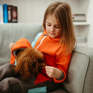 Driekleurige hondenoverall in JORDAN-stijl, hondenkleding, trendy bedrukte hondentrui, hondenoverall geschikt voor kinderen en volwassenen afbeelding 3