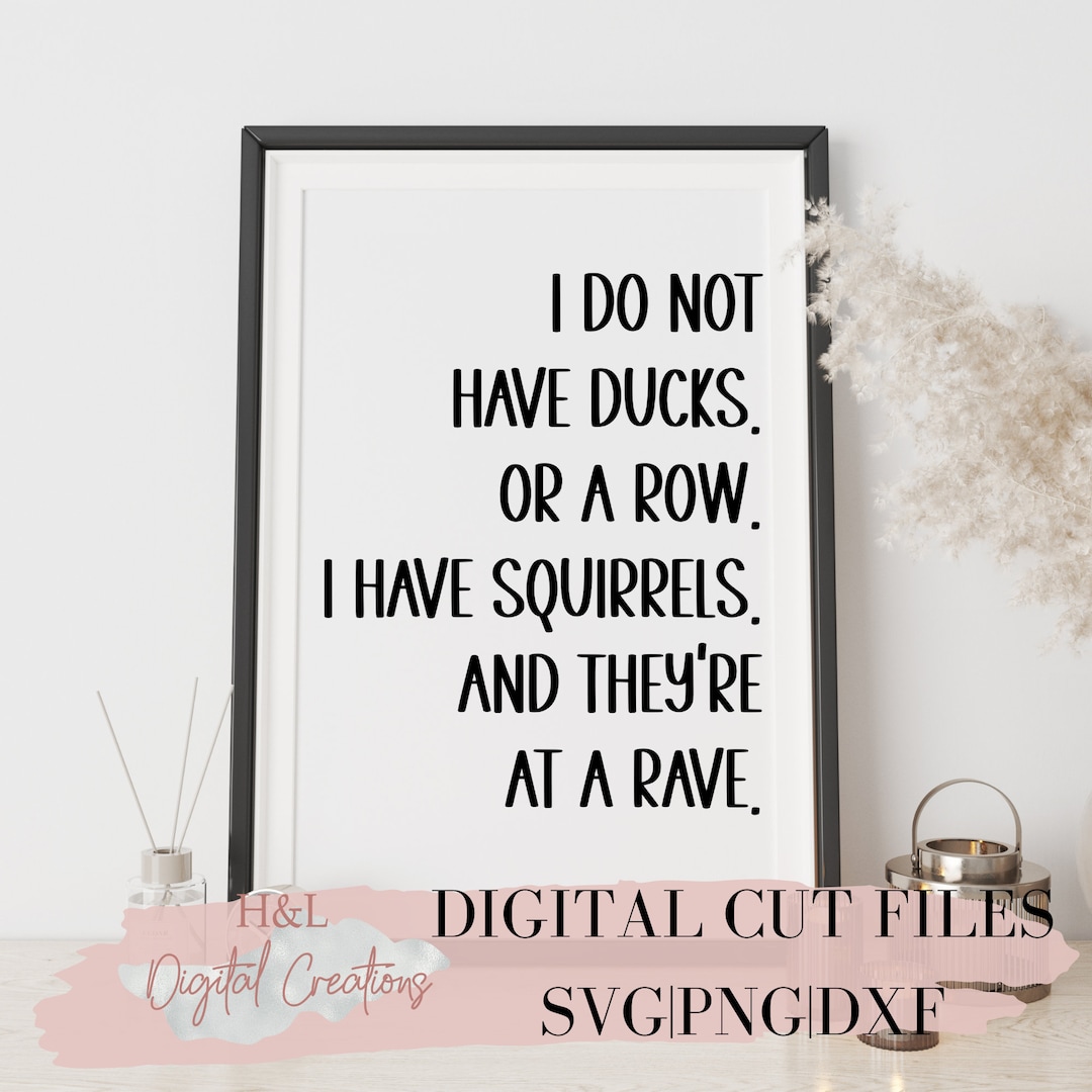 I Do Not Have Ducks or a Row I Have Squirrels and They Are at a Rave