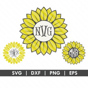May include: Three yellow sunflower designs with black outlines and white circles in the center. The circles contain the initials NVG, DFS, and MKB.