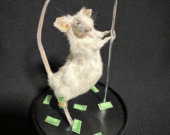 Taxidermied Stripper Mouse