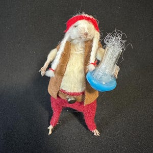 Taxidermy Willie Nelson Mouse