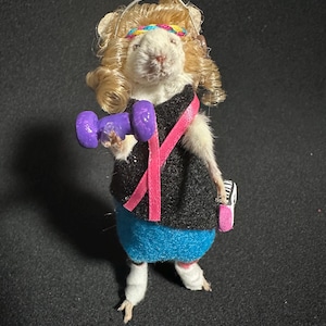 Taxidermied 80’s Jazzercise Mouse