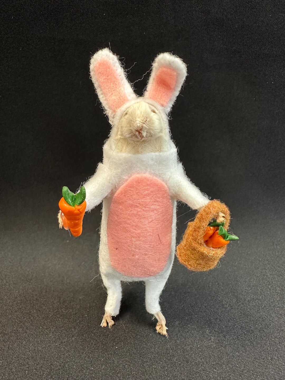 Taxidermied Bunny Rabbit Mouse - Etsy