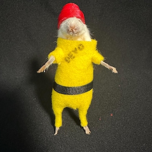 Taxidermied DEVO Mouse
