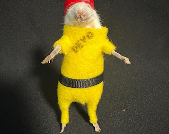 Taxidermied DEVO Mouse