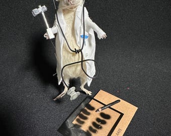 Taxidermied Doctor Mouse