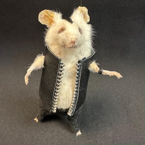 May include: A taxidermied mouse wearing a black leather jacket with a silver zipper and black pants. The mouse has tan ears and a small black bracelet. The background is a solid black.