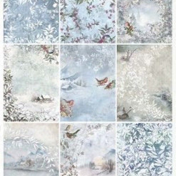 Papier de riz *R2050 (2 pièces) pour la technique de découpage et de serviette - hiver, gel, glace, neige, oiseaux, paysages hivernaux....