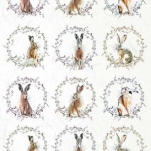 Rice paper *R2016 (2 pieces) for decoupage and napkin technology - bunnies and wreaths...