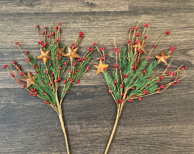 Pencil Pine, Rusty Star 13"  Pip Berry Picks, Christmas Pip Berry Picks.