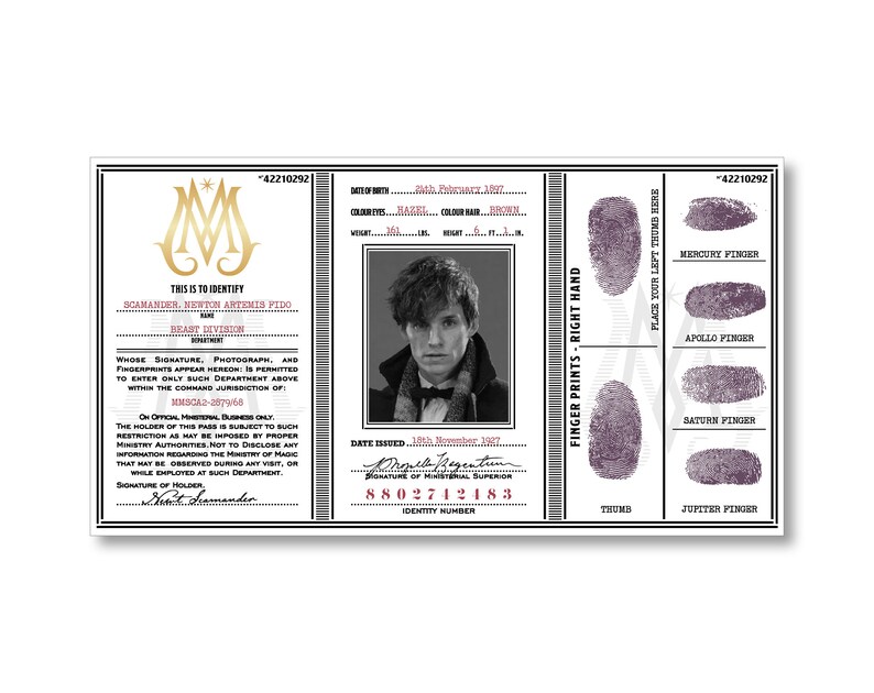 Ministry of Magic Identity Card | Etsy