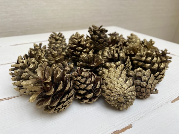 Metallic Sprayed Small Pine Cones Pack of 30 Choice of Gold ,copper, Silver  or Rose Gold Weddings , Events , Celebrations , Home Decor 
