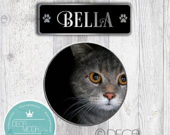 Custom Cat Name Sign: Brushed Silver Metal, Weatherproof