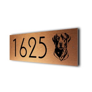 Plaque d'adresse personnalisée pour chien : numéro de maison en métal brossé