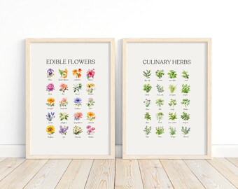 Watercolor Kitchen Art Prints - Edible Flowers and Culinary Herbs, Printable Gallery Wall Set of 2, Digital Download Wall Hangings
