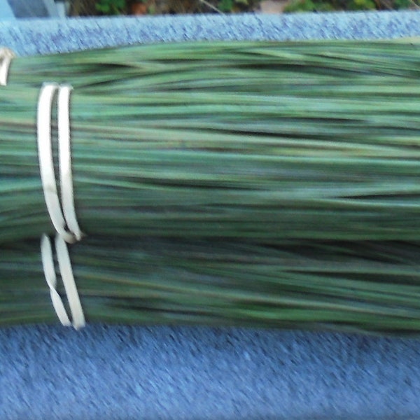 Dark Green Dyed NC Lone Leaf Pine Needles