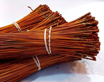 Modeled Golden Yellow (Bright Orange) Glycerin Treated North Carolina Long Leaf Dyed Pine Needles for Coiling, Weaving, Baskets (see Note)