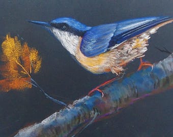 Pintura de aves, Trepador azul en otoño, Pintura al pastel, Formato cuadrado, 8 x 8 pulgadas