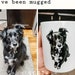 see more listings in the Custom Pet Mug section