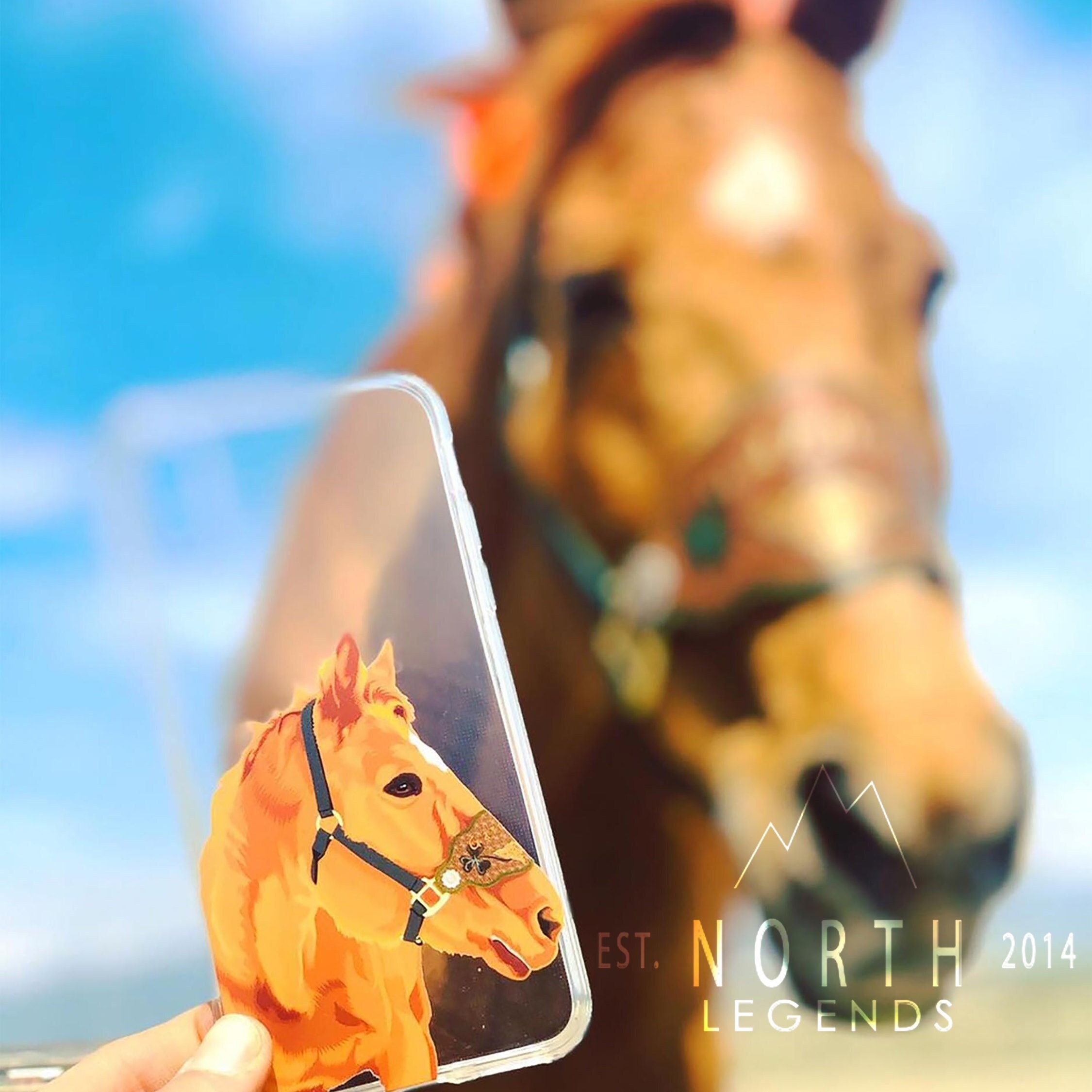 Horse Playing Art Painting Custom Phone Case Cover For iPhone