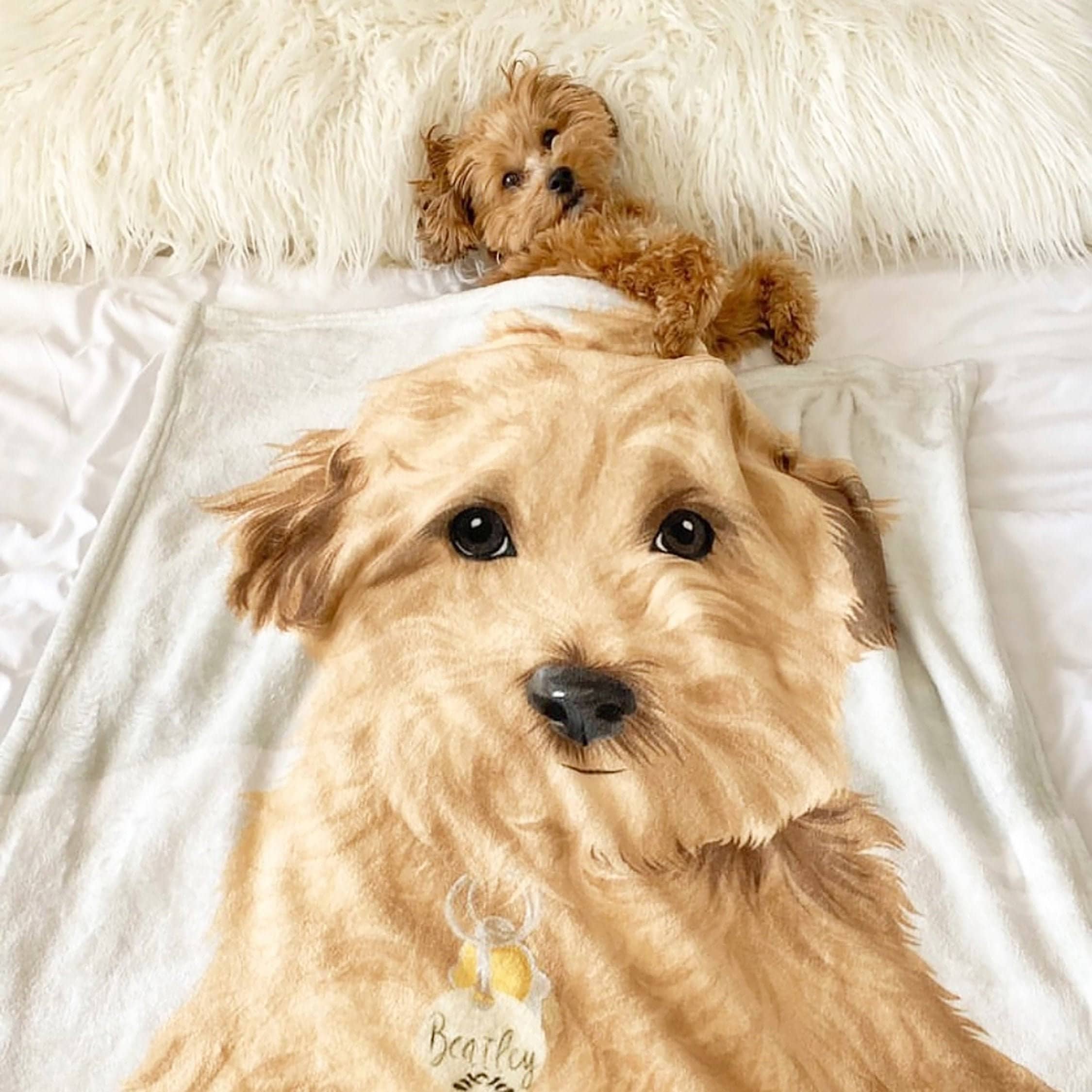Pet Blanket Etsy Canada