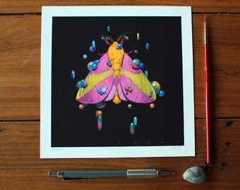 MOTH Series - Limited Edition Prints