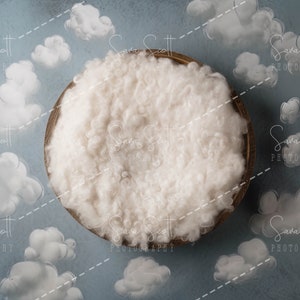 Newborn Digital Backdrop Clouds