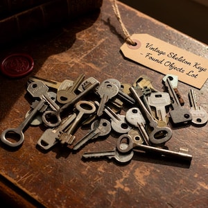 Può includere: Una collezione di chiavi a scheletro vintage in metallo, di varie forme e dimensioni. Un'etichetta recita "Vintage Skeleton Keys - Found Objects Lot". È visibile anche un sigillo di cera rosso.