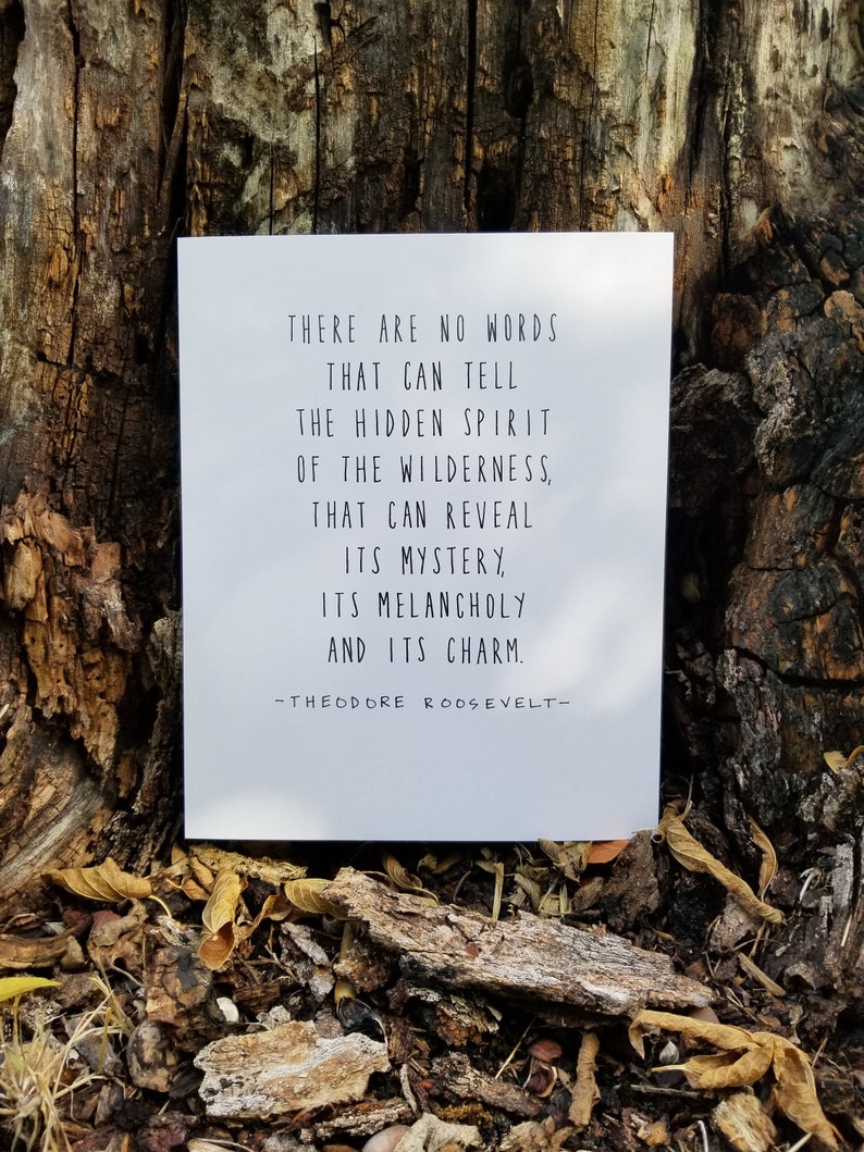 Theodore Roosevelt Quote Nature Environmentalist Etsy
