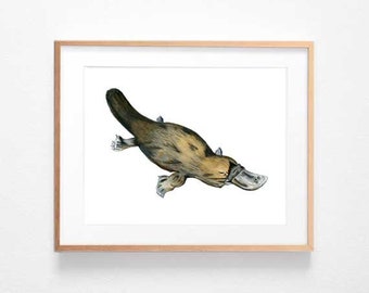 Platypus Print - Watercolour Painting