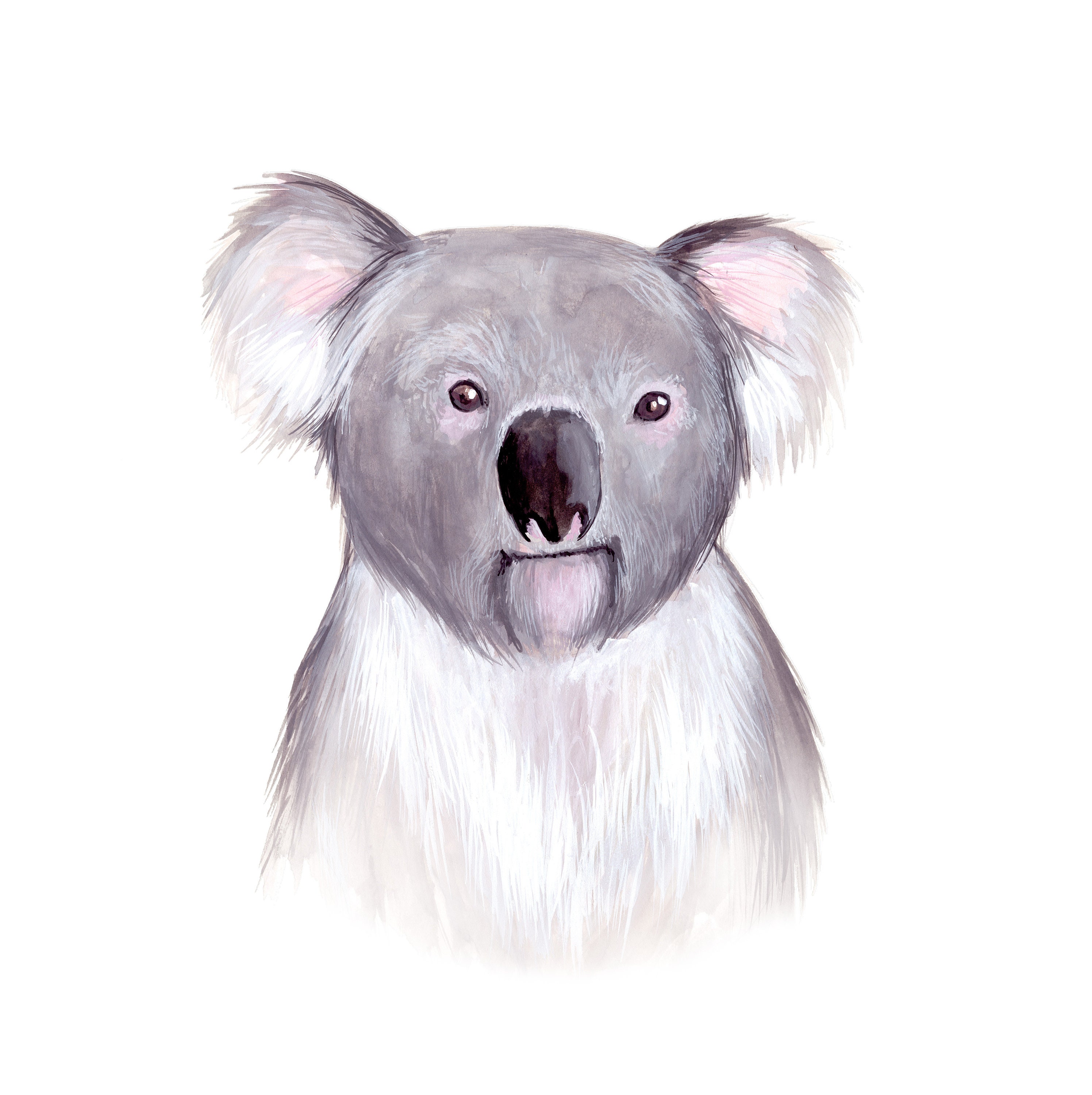 Koala Print Watercolour Painting - Etsy Norway
