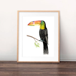 Toucan Print - Watercolour Painting