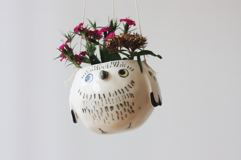 Small Ceramic Hanging Planter Ceramic Hanging Pot Owl Flower Pot Cactus Flower Pot Ceramic Owl