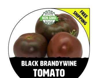 BLACK BRANDYWINE Tomato Seeds - Non-Gmo Heirloom Plants For Garden Planting