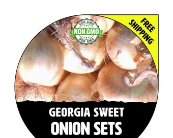 GEORGIA SWEET (Onion Sets, Yellow / White Bulbs) - Winter & Spring - Non-Gmo Fresh Heirloom Seed Onions, Live Garden Plant For Sale