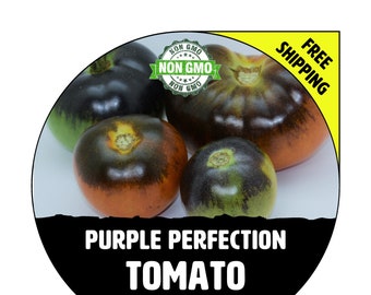 PURPLE PERFECTION Tomato Seeds - Non-Gmo Heirloom Plants For Garden Planting