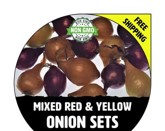 ONION SETS (Red + Yellow Bulbs) - Non-Gmo, Fresh Grown Heirloom Seed Onions, Live Garden Plant, Spring Fall Summer - Free Shipping!