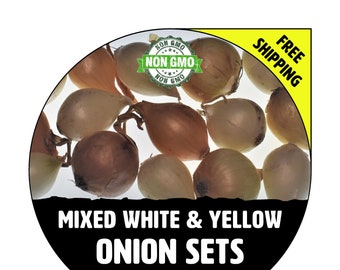 ONION SETS (White + Yellow Bulbs) - Non-Gmo, Fresh Grown Heirloom Seed Onions, Live Garden Plant, Spring Fall Summer - Free Shipping!