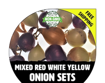 ONION SETS (Mixed - Red, White, & Yellow Bulbs) - Non-Gmo, Fresh Grown Heirloom Seed Onions, Live Garden Plant, Spring Fall Summer