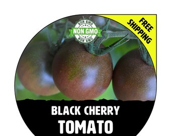 BLACK CHERRY Tomato Seeds - Non-Gmo Heirloom Plants For Garden Planting