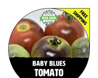 BABY BLUES Tomato Seeds - Non-Gmo Heirloom Plants For Garden Planting